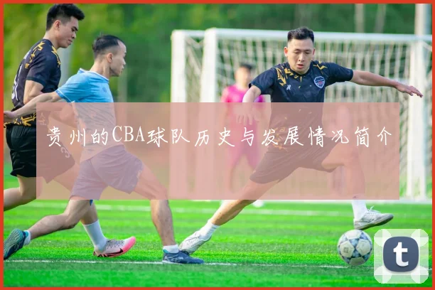 贵州的CBA球队历史与发展情况简介