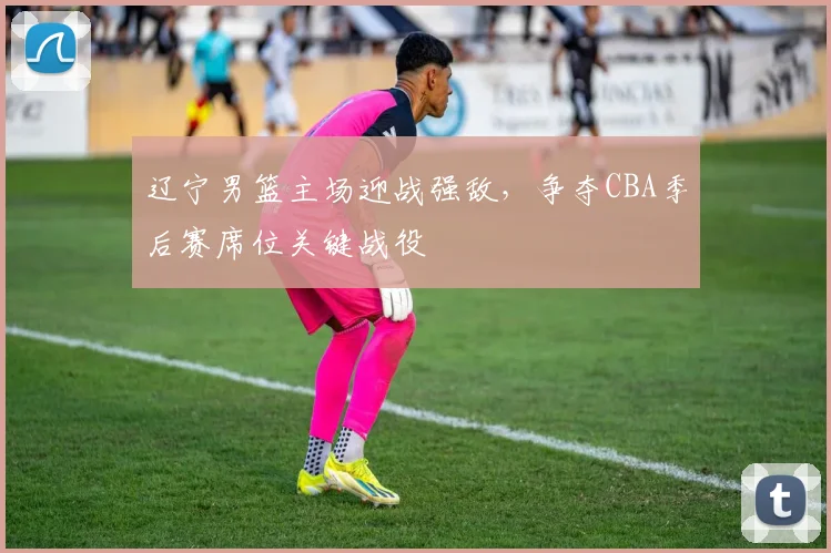 辽宁男篮主场迎战强敌，争夺CBA季后赛席位关键战役