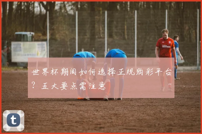 世界杯期间如何选择正规购彩平台？五大要点需注意