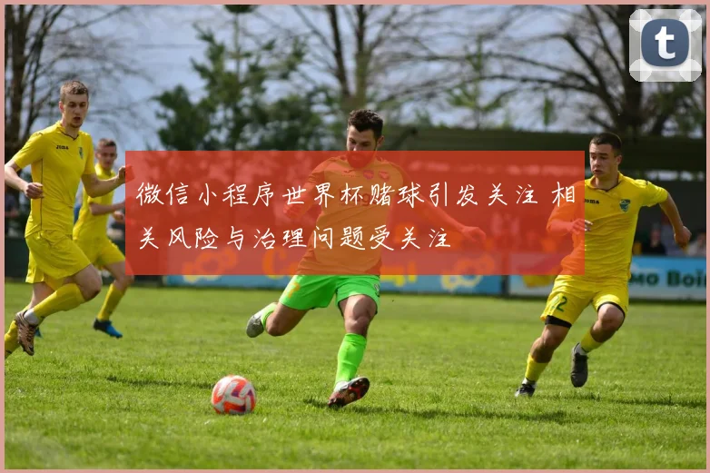 微信小程序世界杯赌球引发关注 相关风险与治理问题受关注