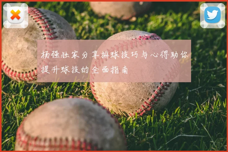 杨强独家分享排球技巧与心得助你提升球技的全面指南