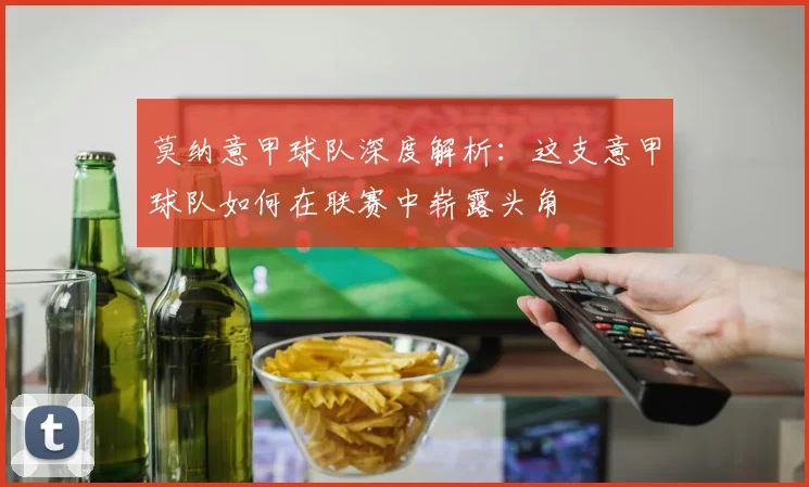莫纳意甲球队深度解析：这支意甲球队如何在联赛中崭露头角