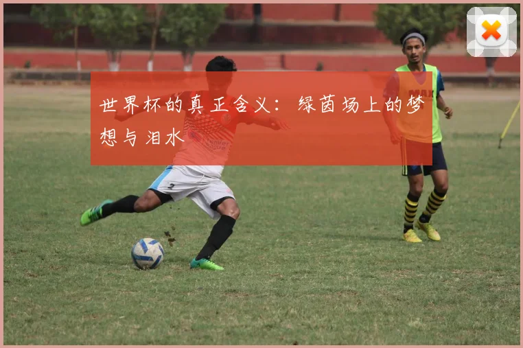 世界杯的真正含义：绿茵场上的梦想与泪水