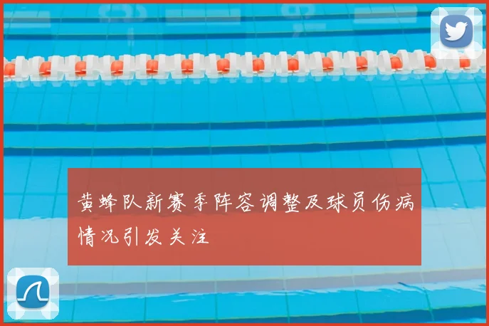 黄蜂队新赛季阵容调整及球员伤病情况引发关注