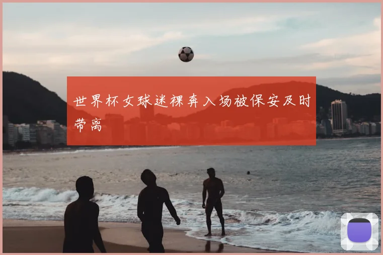 世界杯女球迷裸奔入场被保安及时带离