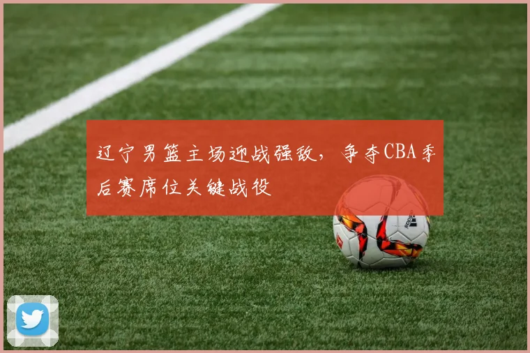 辽宁男篮主场迎战强敌，争夺CBA季后赛席位关键战役
