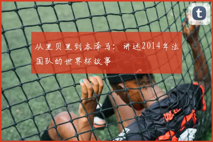 从里贝里到本泽马:讲述2014年法国队的世界杯故事