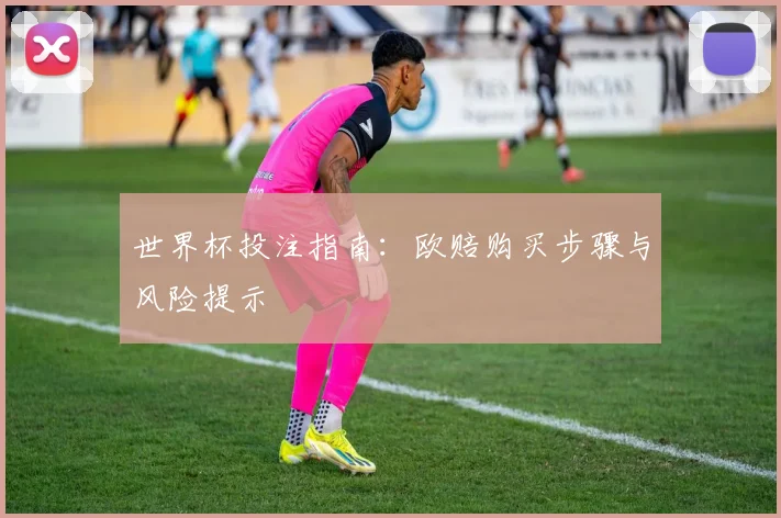 世界杯投注指南:欧赔购买步骤与风险提示