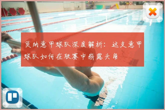 莫纳意甲球队深度解析：这支意甲球队如何在联赛中崭露头角