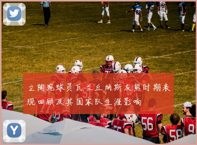 立陶宛球员瓦兰丘纳斯灰熊时期表现回顾及其国家队生涯影响