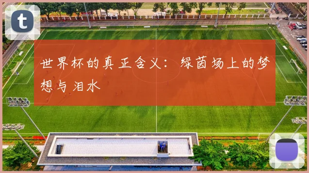 世界杯的真正含义：绿茵场上的梦想与泪水