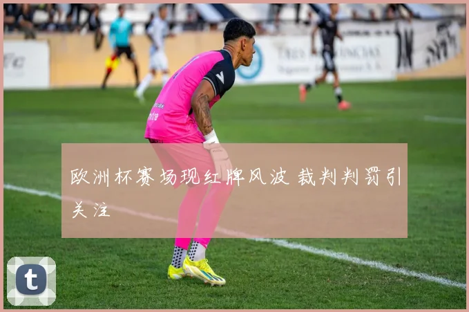 欧洲杯赛场现红牌风波 裁判判罚引关注
