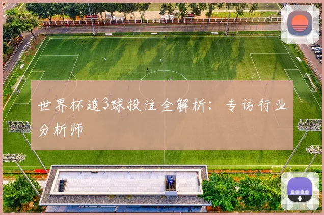 世界杯追3球投注全解析：专访行业分析师